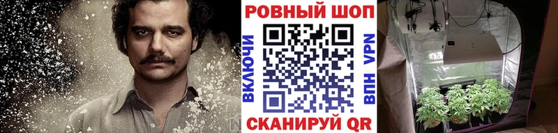 Купить наркотики сайты Данилов Канабис  Alpha PVP  ГАШ  Псилоцибиновые грибы  COCAIN  Меф  Амфетамин 