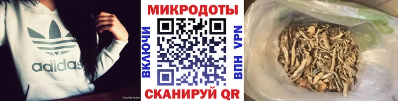 ОМГ ОМГ вход  Данилов  Галлюциногенные грибы MAGIC MUSHROOMS 